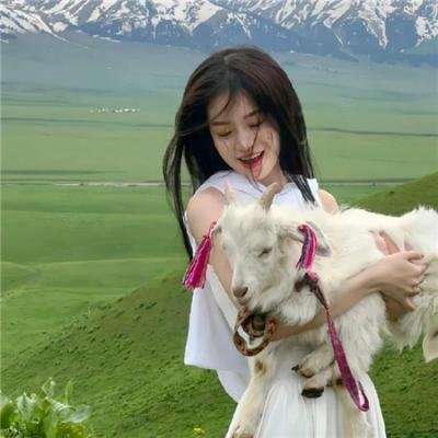 九一一事件簿